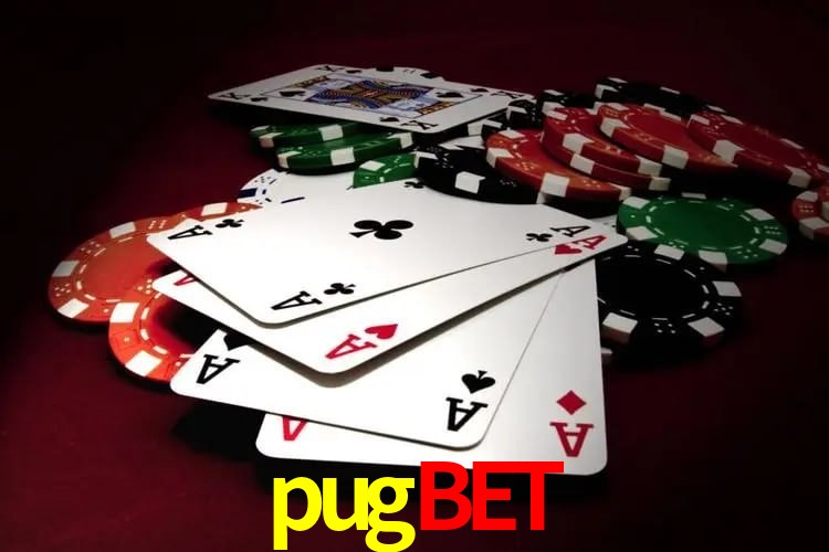 Interface Premium pugbet